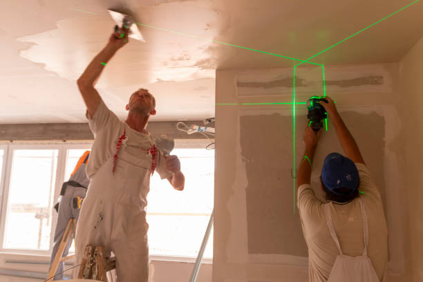 Best Remodeling Drywall Solutions  in Kenova, WV